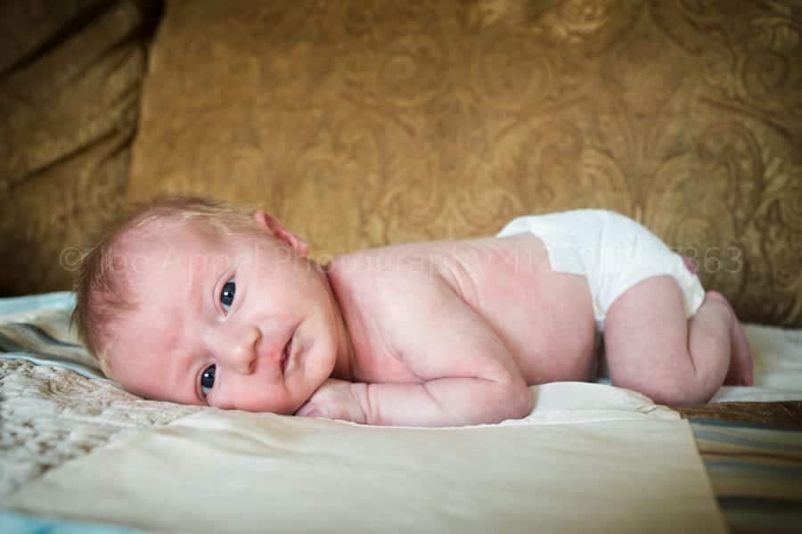 Caleb – Newborn Portraits in Pittsburgh, PA