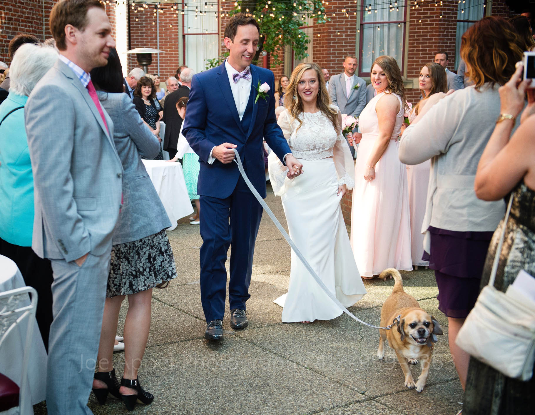 Bride and groom recess through the crowd gathered in a courtyard for their wedding while their dog leads them out on a leash.