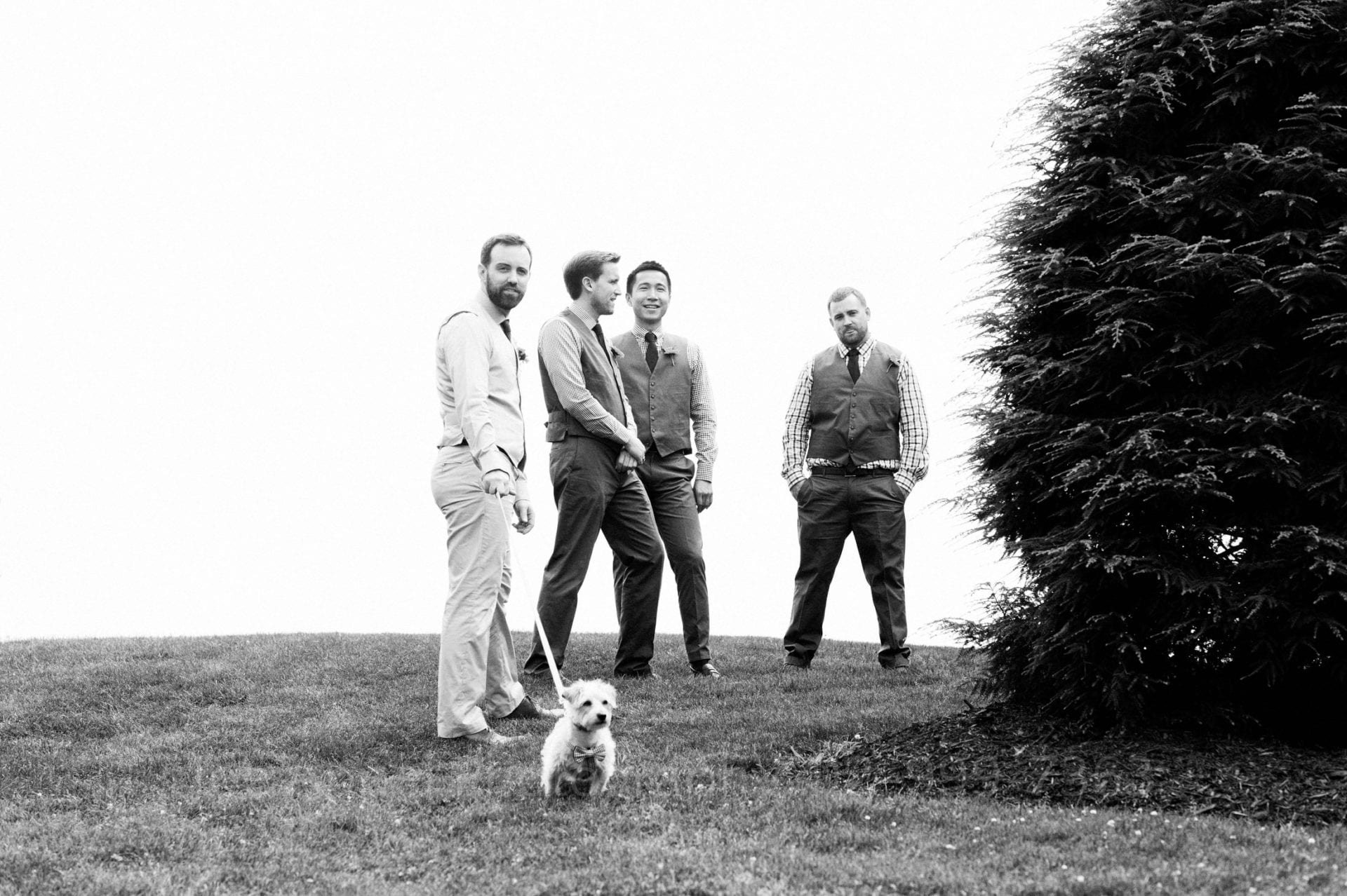 A groom stands at the top of a hill with three groomsmen. The groom holds the leash of his terrier as the dog strains against it.