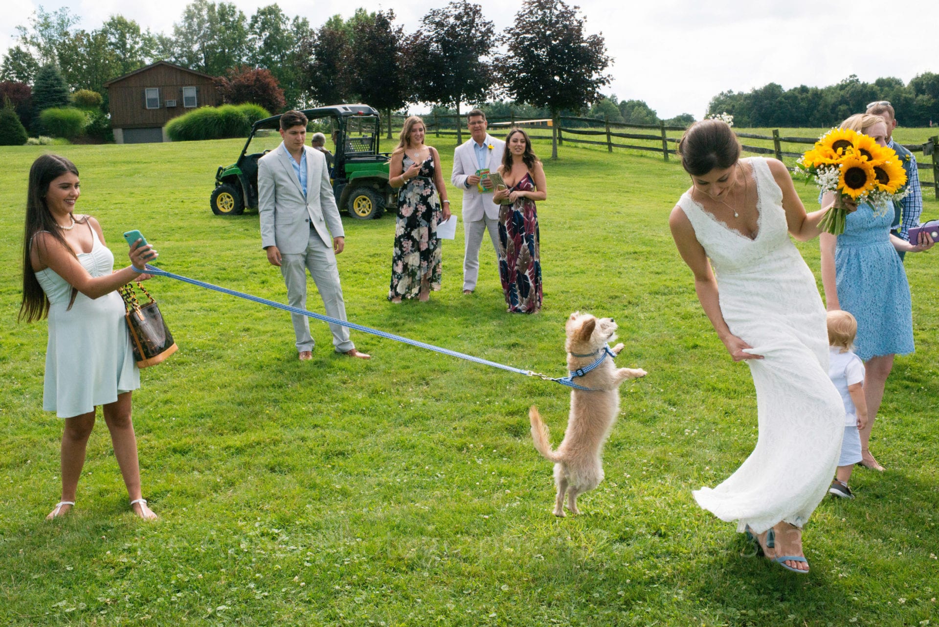 A terrier leaps into the air at the end of a leash as a bride bends to avoid his dirty paws.