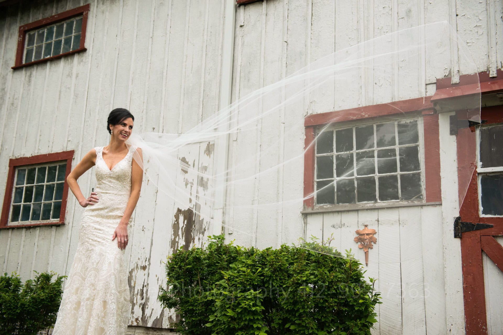 standing at the left side of the frame, a bride watches her long veil blow to the right in front of a white barn with red trim. Wedding Photography In West Virginia.