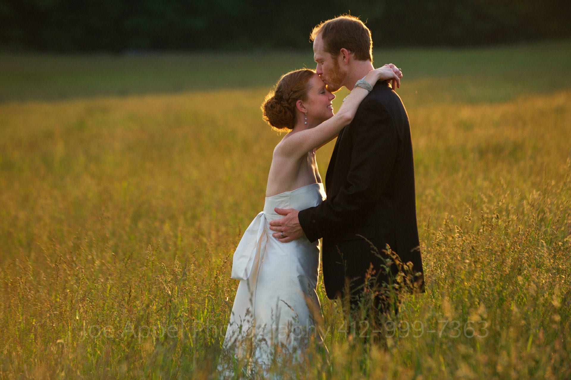 A red-headed couple embrace in a field of high grass. The sunlight rims them as the grass glows golden. Armstrong Farms Weddings