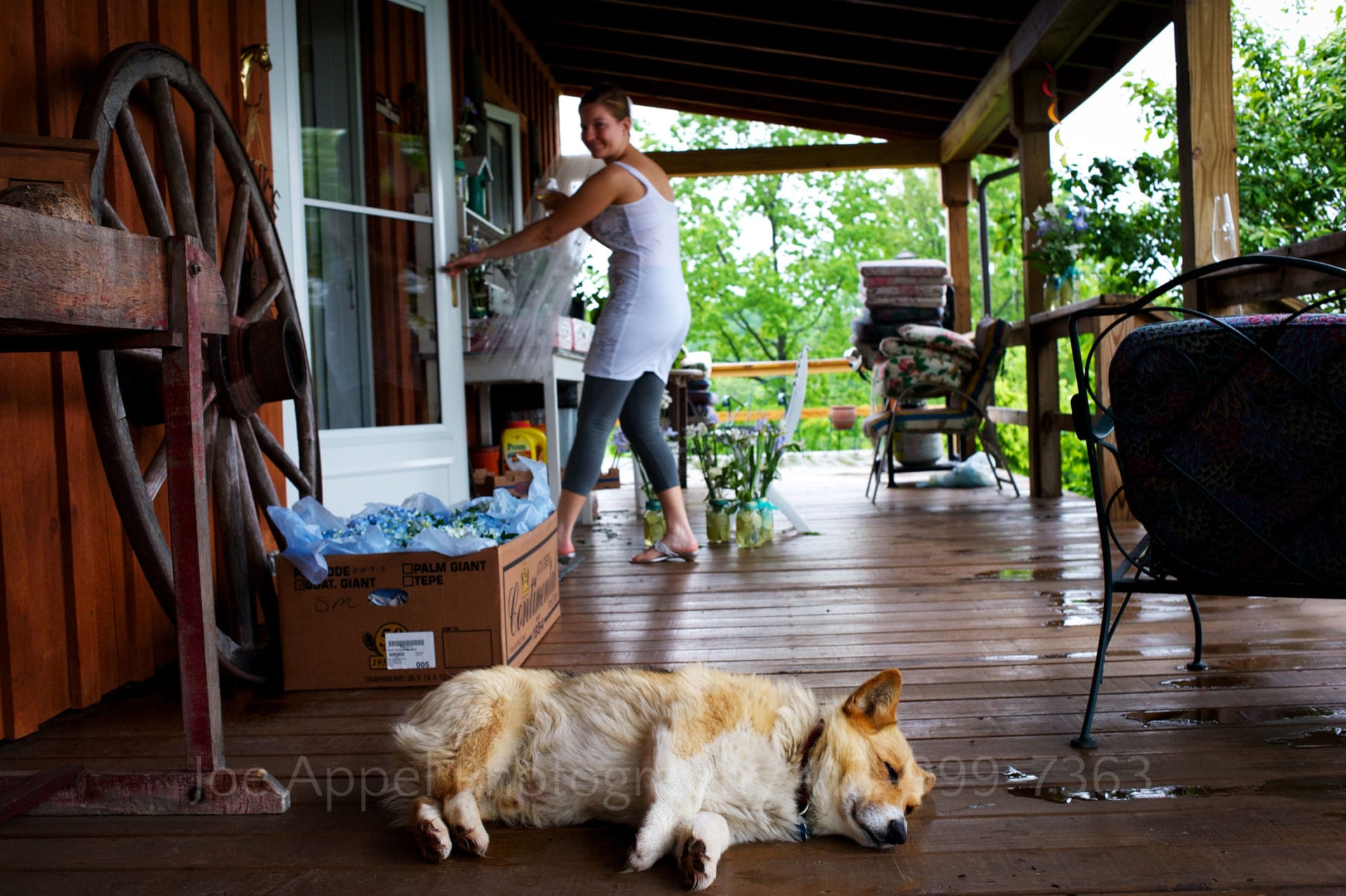 A corgi lays sleeping on a rainy porch as a woman laughs while looking at the dog on her way into a house. Armstrong Farms Weddings