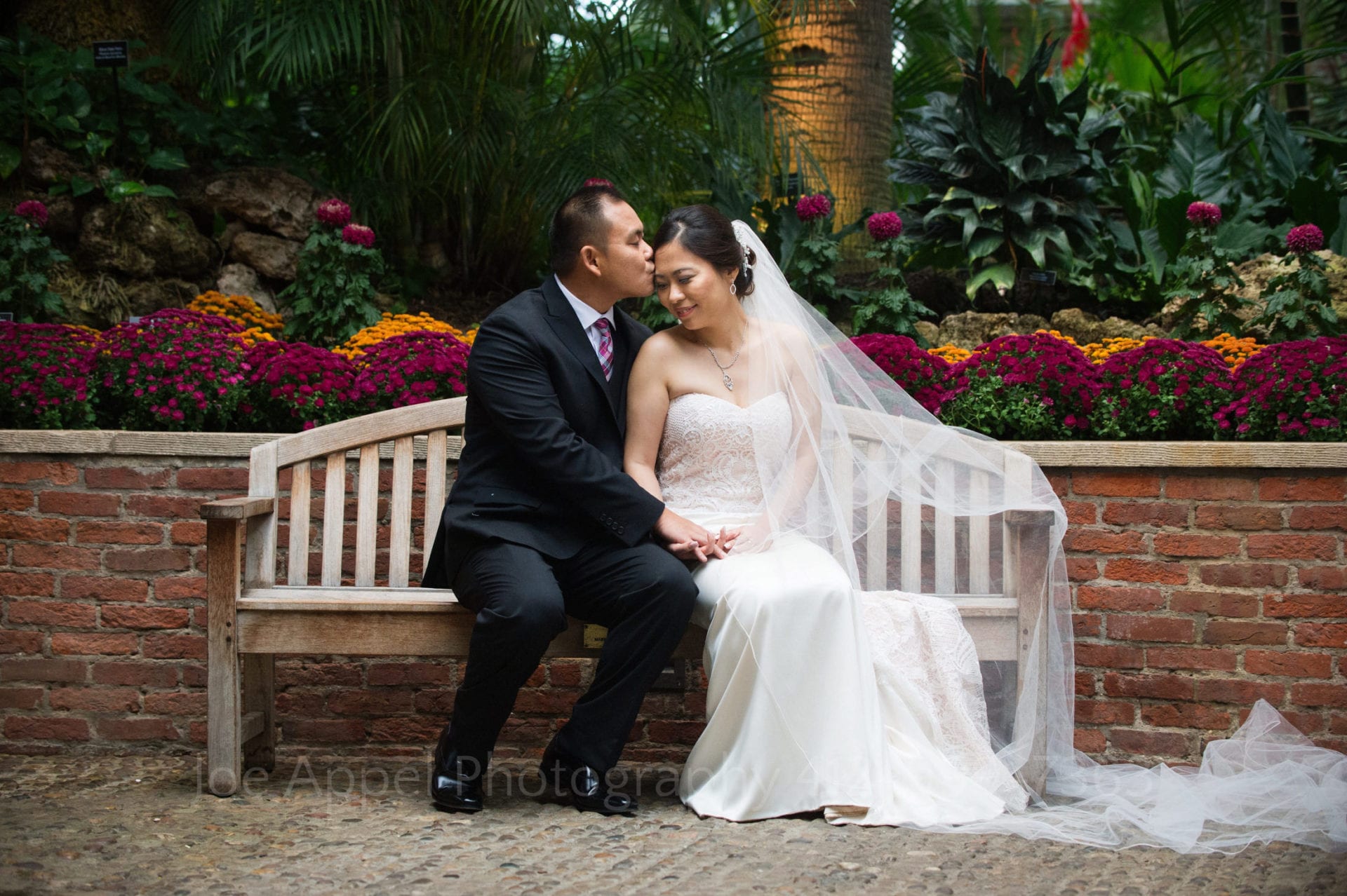 a groom kisses his bride on a bench in front of pink and orange flowers Phipps Conservatory Weddings