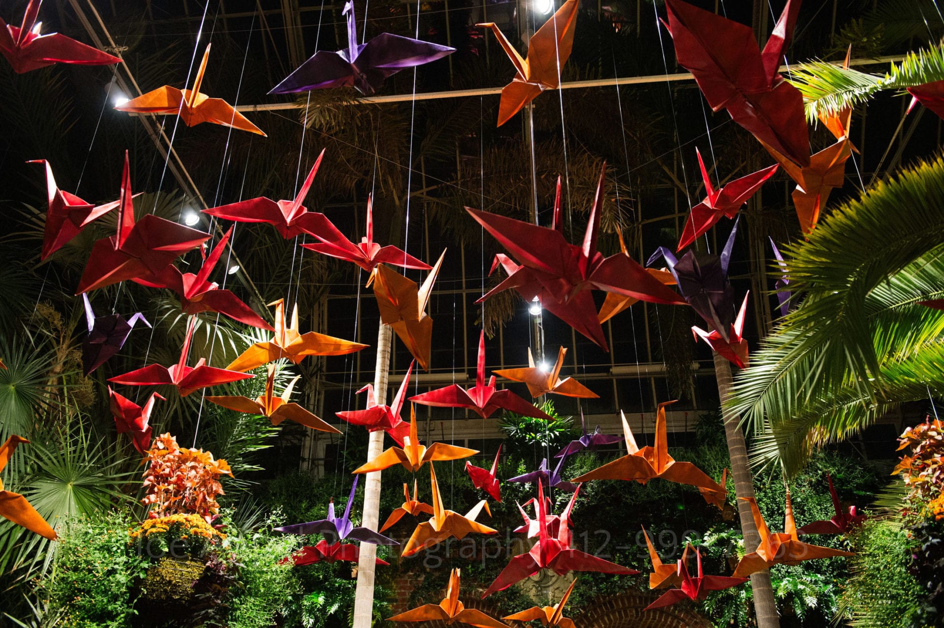 red purple and orange paper cranes hang in a tropical garden Phipps Conservatory Weddings