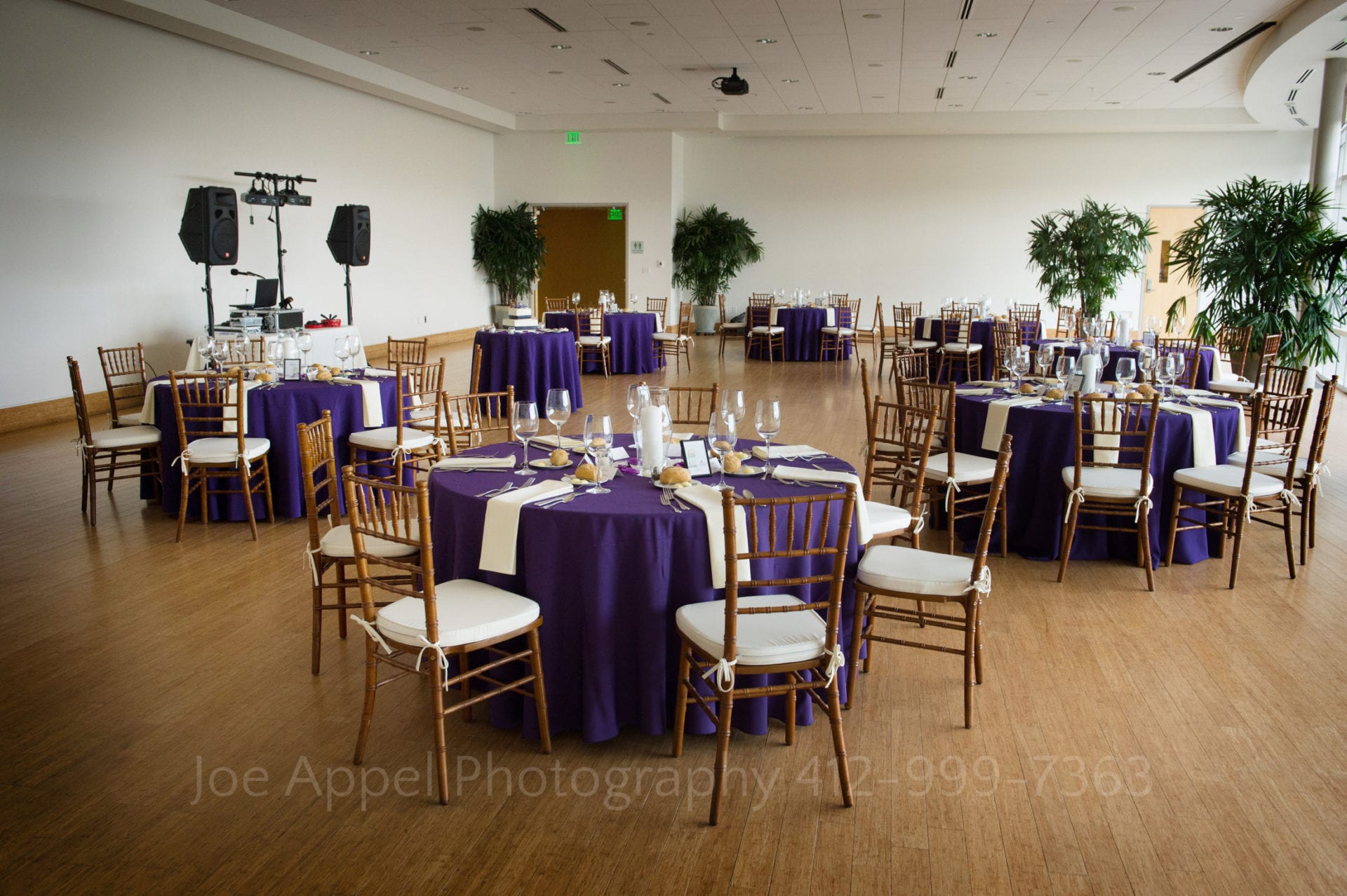 a dining room with purple tables and green plants Phipps Conservatory Weddings