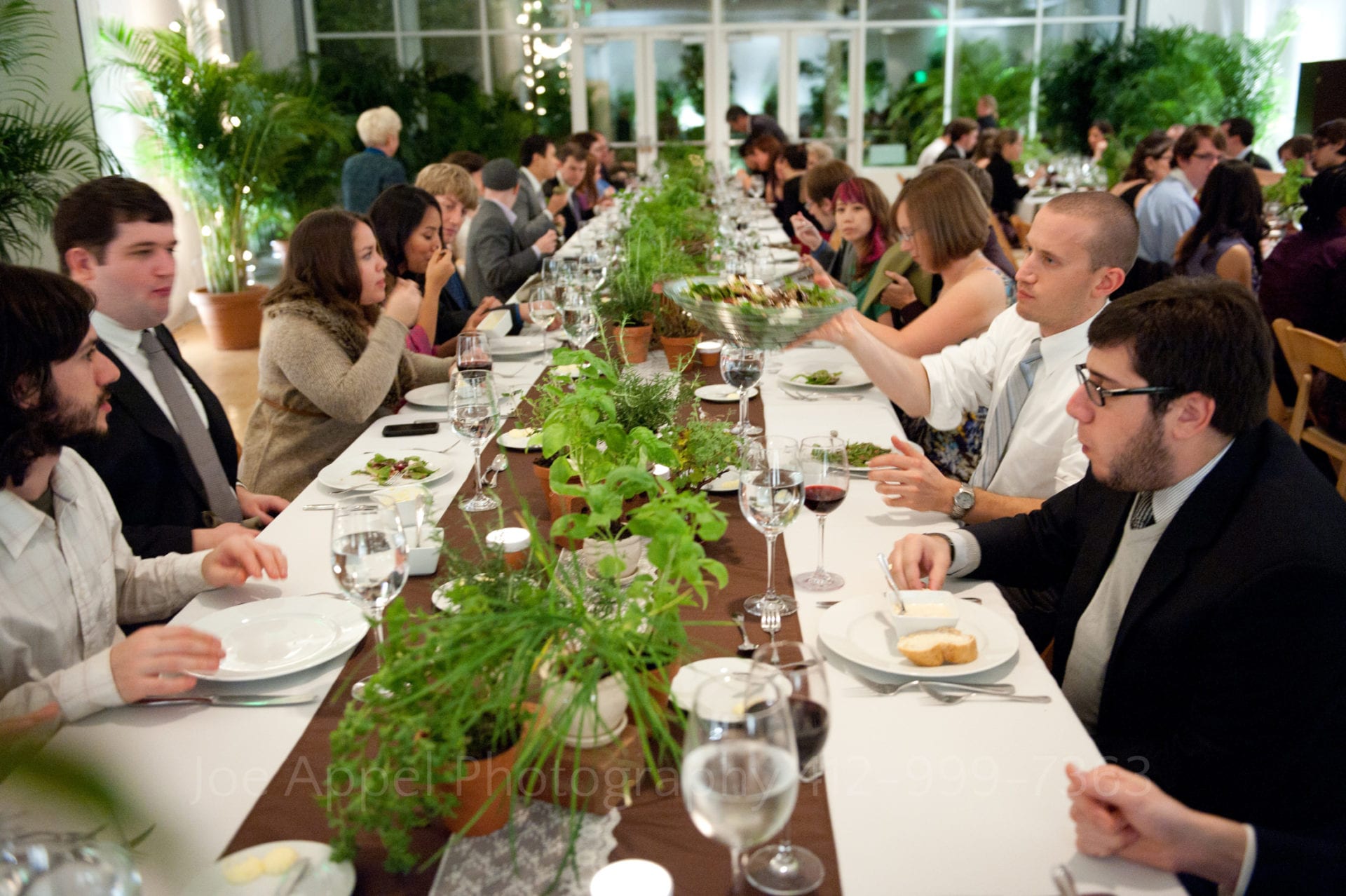 guests eat at a dining table decorated with plants Phipps Conservatory Weddings