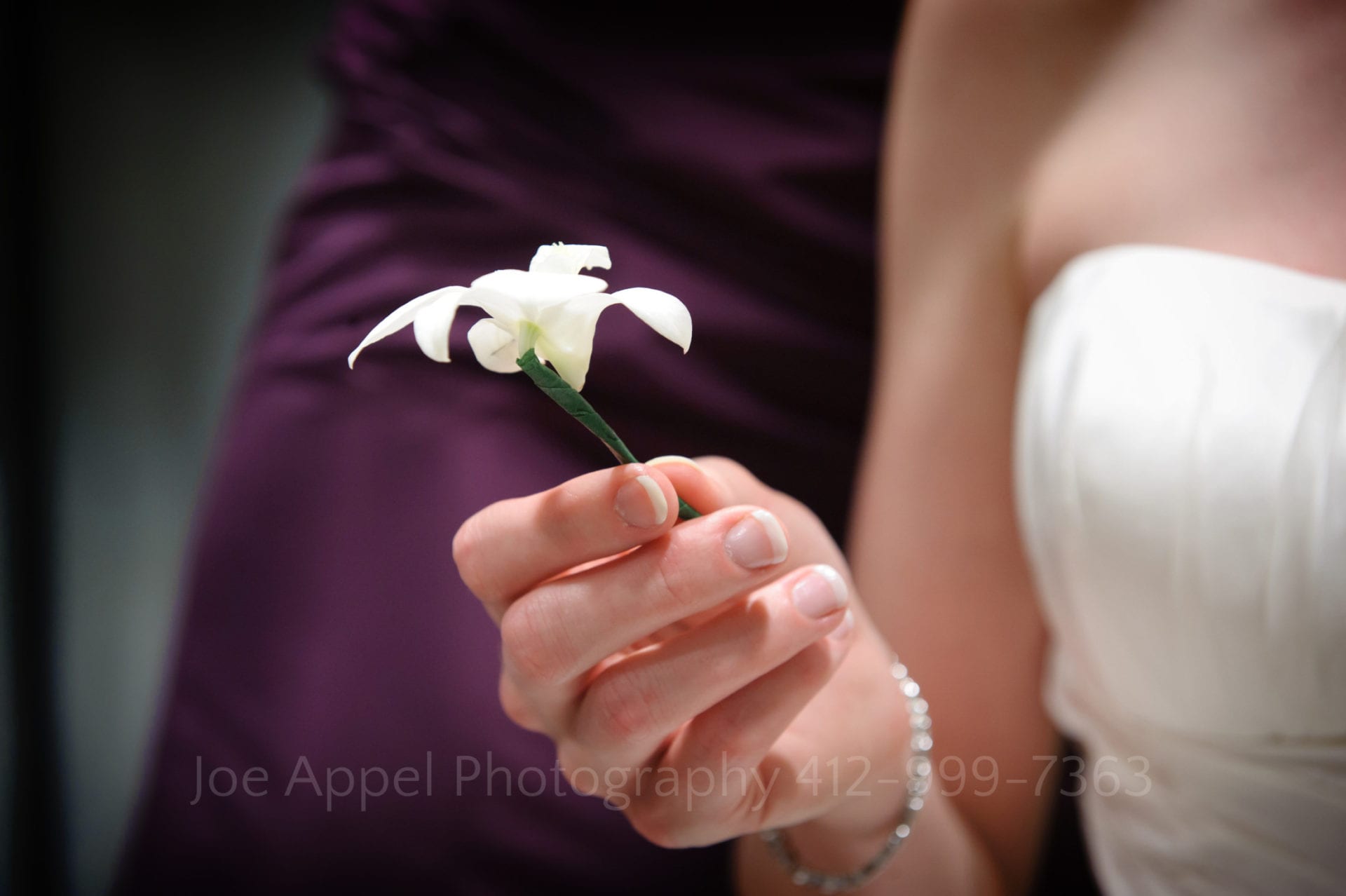 a bride holds a small white flower Phipps Conservatory Weddings