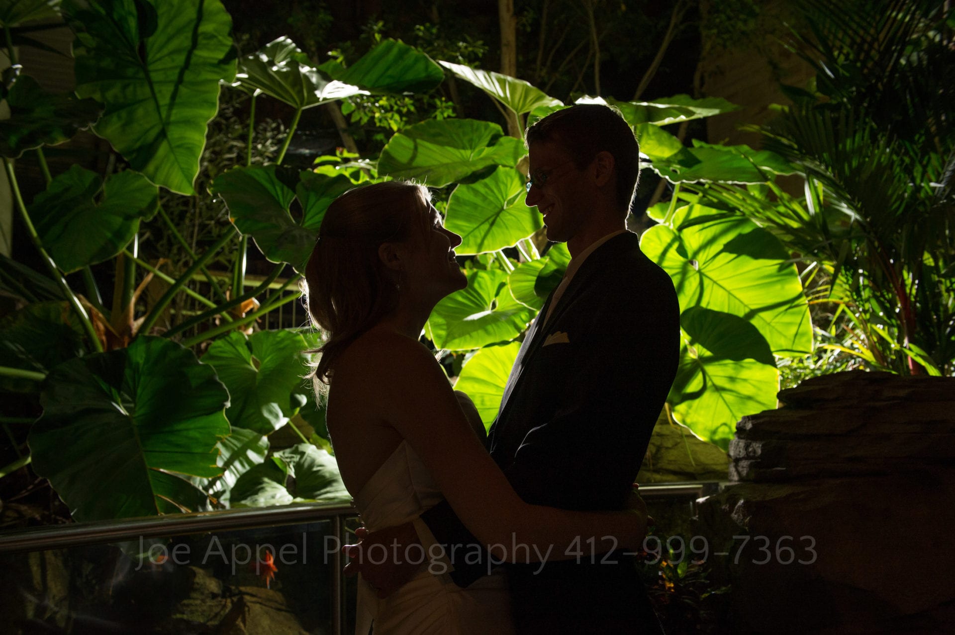 the silhouettes of a bride and groom in front of green leaves Phipps Conservatory Weddings