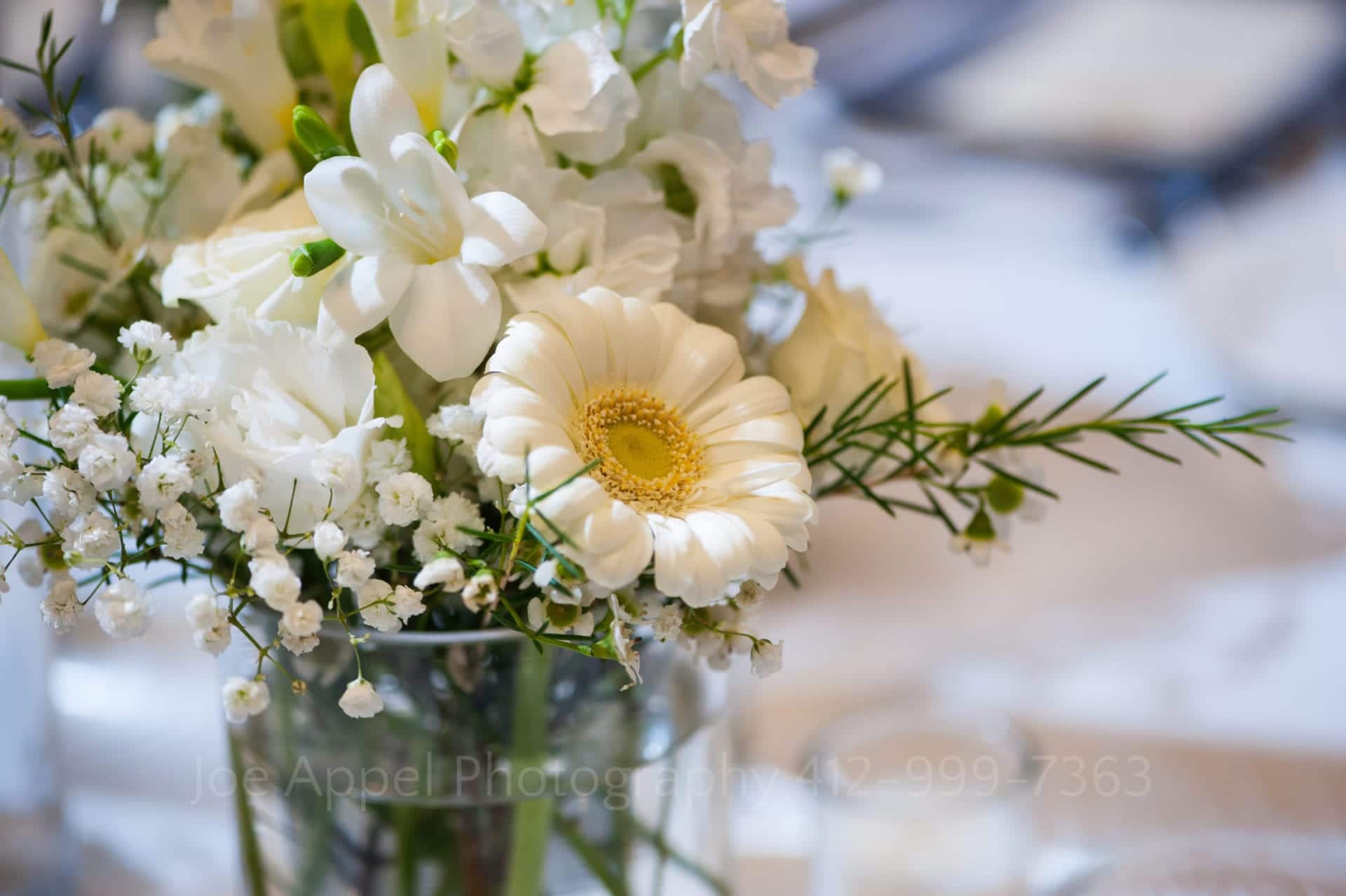 a vase of white flowers Seven Springs Weddings