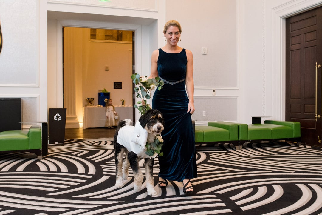 A blond woman in a dark blue dress walks with a bernadoodle dog bearing wedding rings at the Hotel Monaco in Pittsburgh.