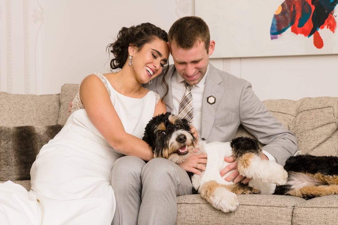 A bride and groom sit together and pet their Bernadoodle dog on a sofa at the Hotel Monaco in Pittsburgh.