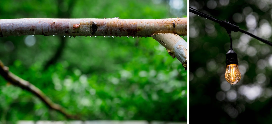 Rain drops hang from a birch branch. An outdoor bistro light with glistening raindrops on it.