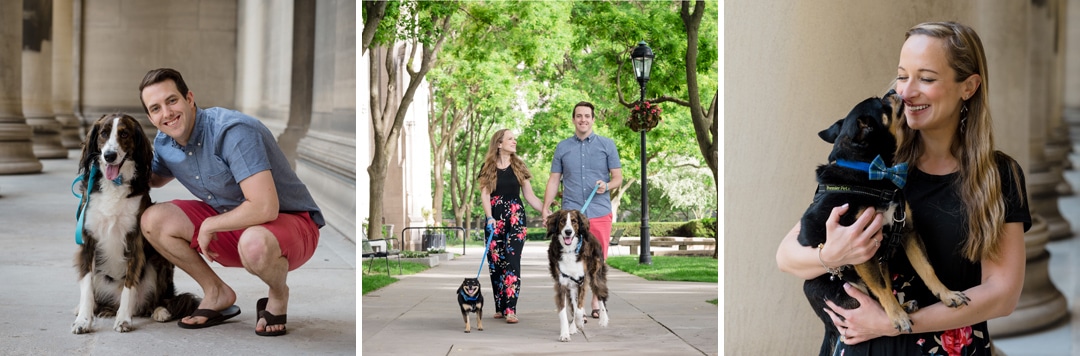 Three photos of a young couple with their two dogs during an engagement portrait session. The man has a large brown and white dog and the woman a small black and brown dog.