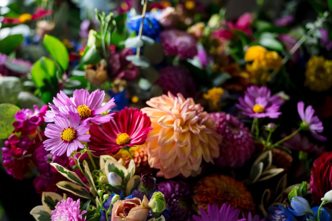 A vibrant bouquet of assorted flowers, including pink, peach, and purple blooms, surrounded by green leaves and other colorful blossoms, bathed in soft natural light.