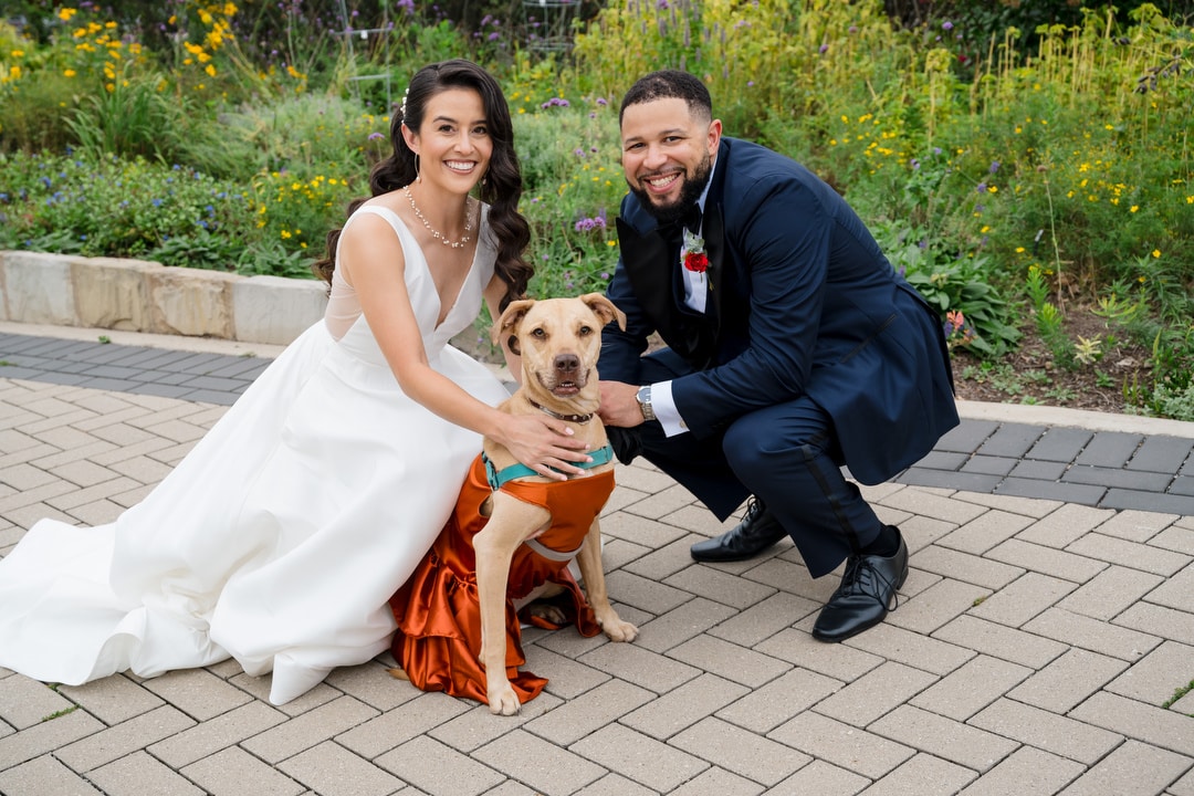A bride and groom kneel outdoors, smiling at the camera with their dog, who is wearing an orange dress. The couple is dressed in formal wedding attire, with greenery and flowers in the background.