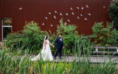Beautiful Outdoor Summer Wedding