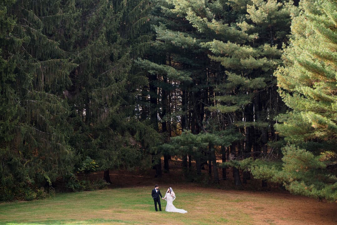 A bride and groom stand together on a grassy clearing, surrounded by tall, dense pine trees. The couple appears small in the expansive, natural landscape.